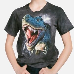 The Mountain CHILD Boys 2009 Y2K medium Cotton T-Shirt Dinosaur T REX Lightning